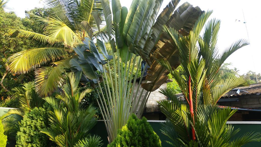 珊瑚棕榈别墅公寓 乌纳瓦图纳 外观 照片